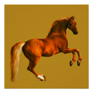 Grandson of the Godolphin Arabian, Whistlejacket Poster