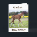 *GRANDSON* YOUR BIRTHDAY IS A SPECIAL DAY CARD<br><div class="desc">THANK U FOR STOPPING BY 1 OF MY 8 STORES!</div>