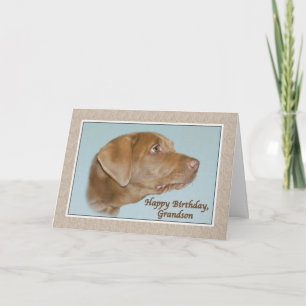 Grandson's Birthday Card with Labrador Dog
