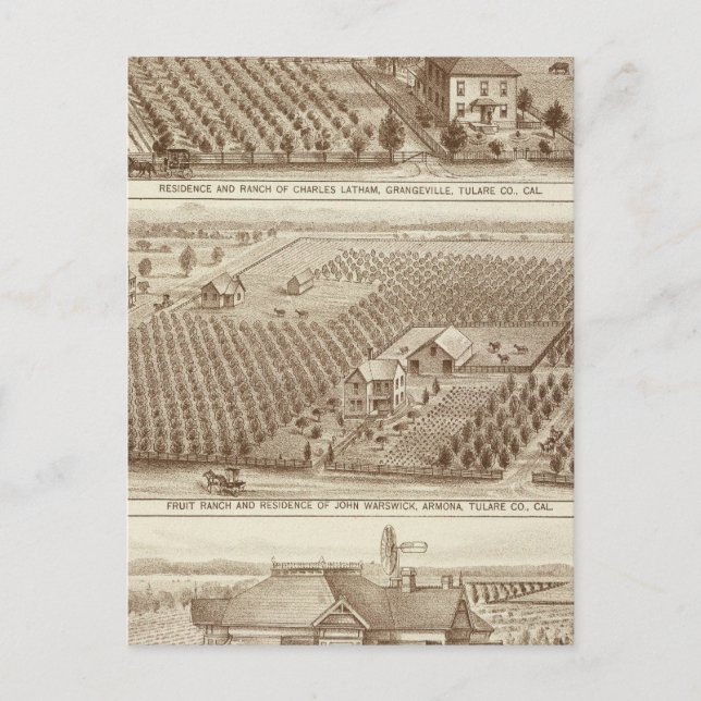 Grangeville, Armona ranches Postcard (Front)