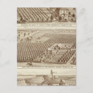 Grangeville, Armona ranches Postcard