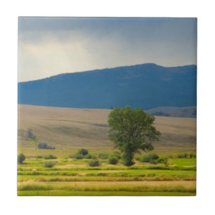 Granite County Montana Ceramic Tile
