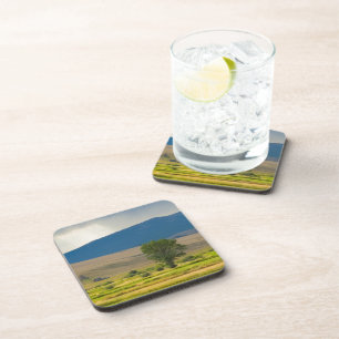 Granite County Montana Coaster