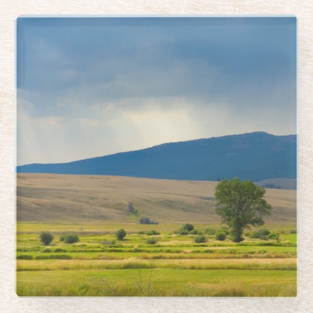 Granite County Montana Glass Coaster (Front)