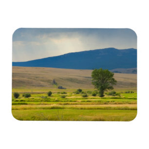 Granite County Montana Magnet