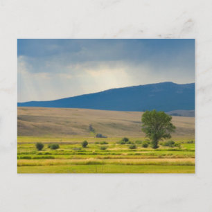 Granite County Montana Postcard
