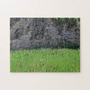 Granite Quarry Rock Cliff Wall Cattails Nature Jigsaw Puzzle