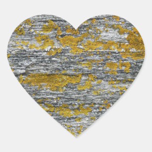 granite stone lichens heart sticker