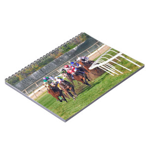 Granny's Kitten Notebook