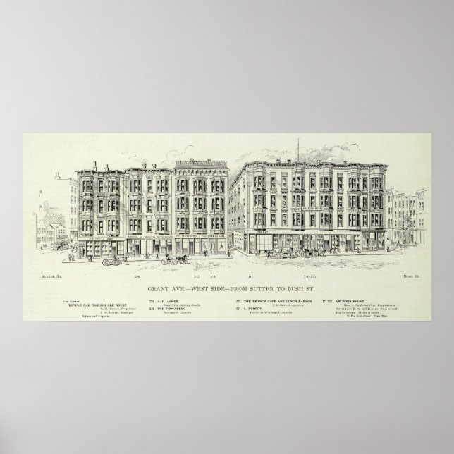 Grant West side Sutter and Bush Poster (Front)