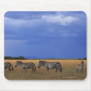 Grant Zebra 2 Mouse Pad