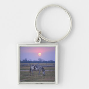 Grant Zebra 6 Key Ring