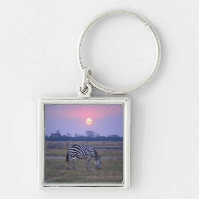 Grant Zebra 6 Key Ring (Front)