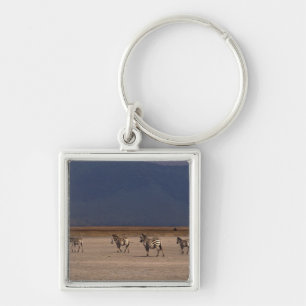 Grant Zebra Key Ring