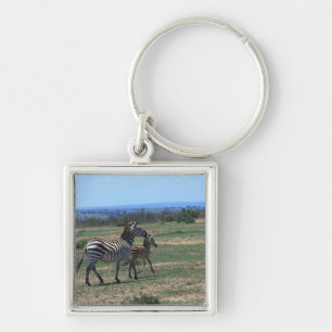 Grant Zebra Key Ring