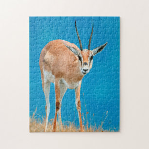 Grant's Gazelle (Gazella Granti) Ewe Portrait Jigsaw Puzzle