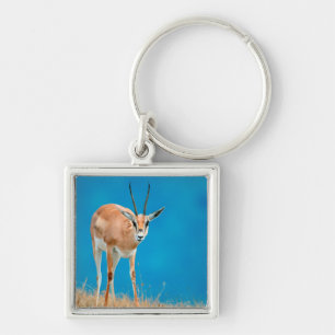 Grant's Gazelle (Gazella Granti) Ewe Portrait Key Ring