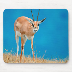 Grant's Gazelle (Gazella Granti) Ewe Portrait Mouse Pad
