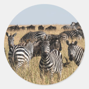 Grant's Zebra Classic Round Sticker