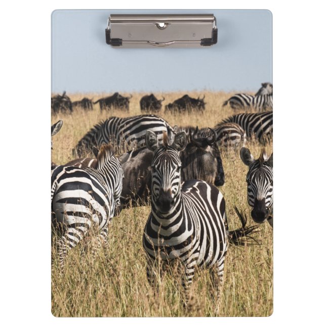Grant's Zebra Clipboard (Front)