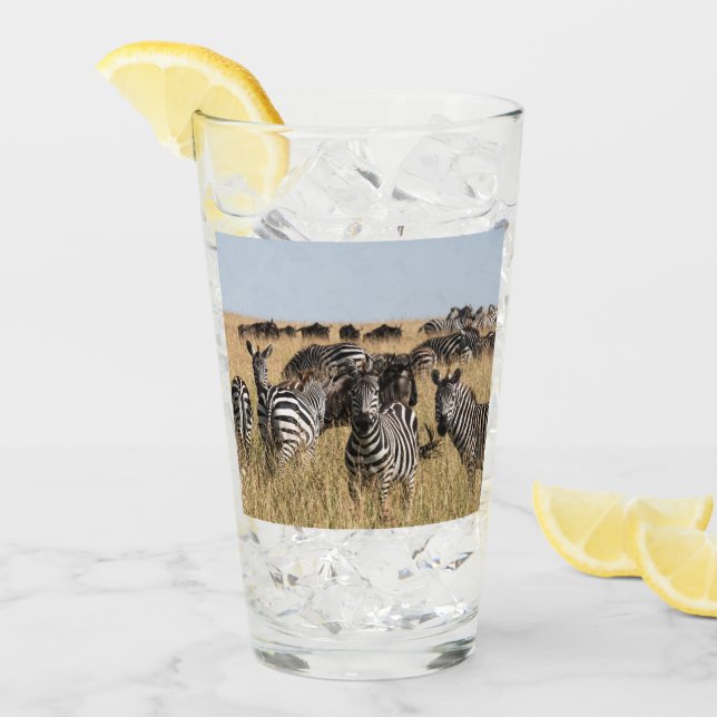 Grant's Zebra Glass (Front Ice)