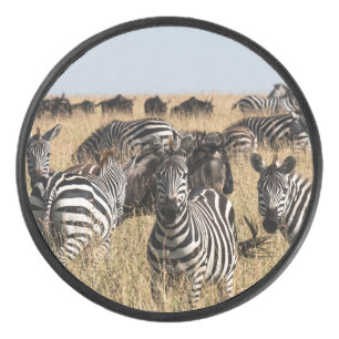 Grant's Zebra Hockey Puck