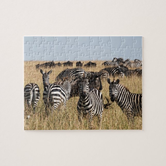Grant's Zebra Jigsaw Puzzle (Horizontal)