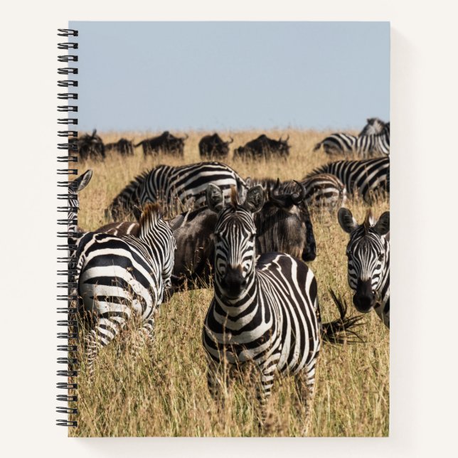 Grant's Zebra Notebook (Front)