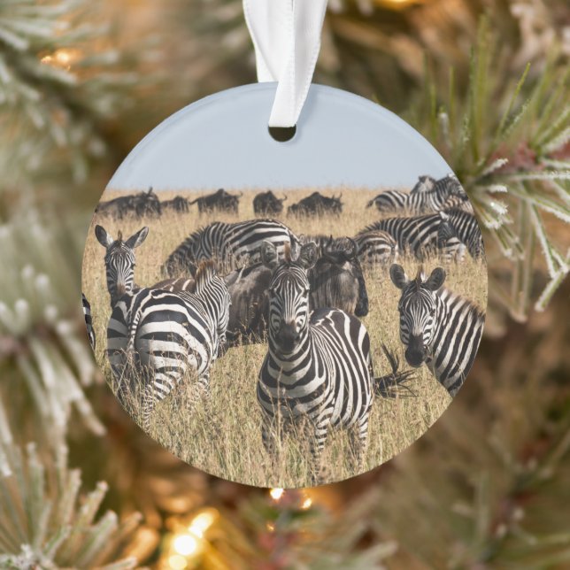 Grant's Zebra Ornament (Tree)
