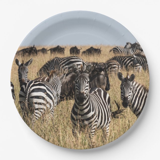 Grant's Zebra Paper Plate (Front)