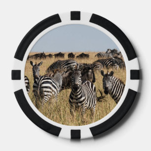 Grant's Zebra Poker Chips