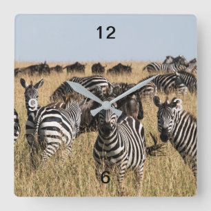 Grant's Zebra Square Wall Clock