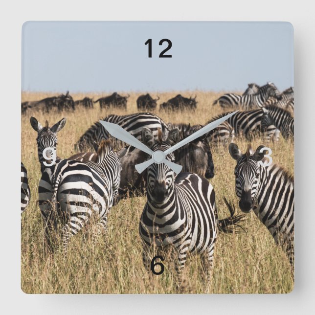 Grant's Zebra Square Wall Clock (Front)