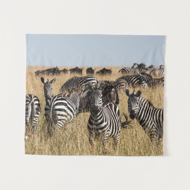 Grant's Zebra Tapestry (Front (Horizontal))