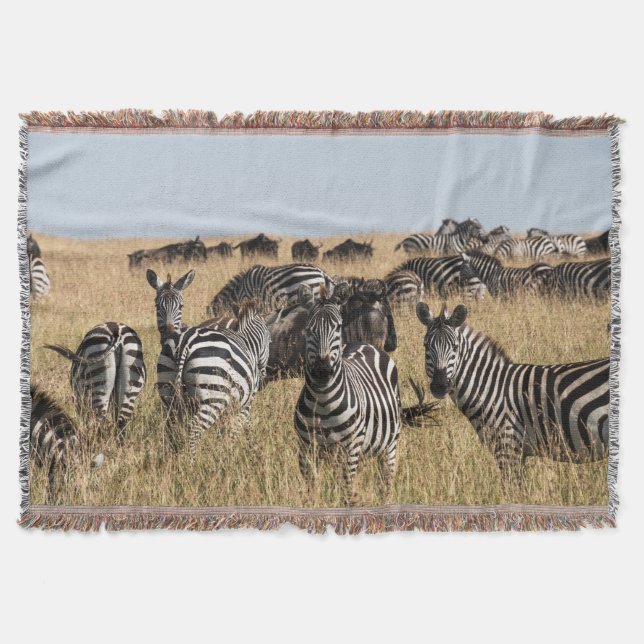 Grant's Zebra Throw Blanket (Front)