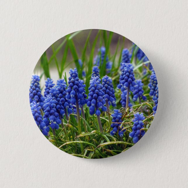 Grape Hyacinth 6 Cm Round Badge (Front)