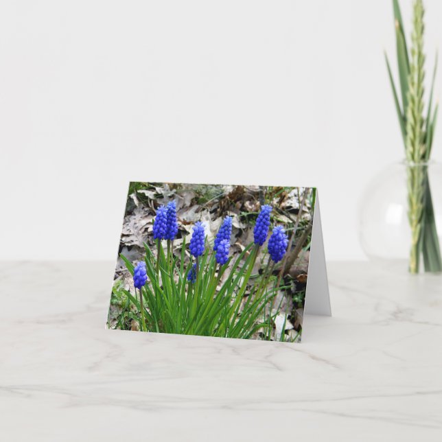 Grape Hyacinth.... Card (Front)