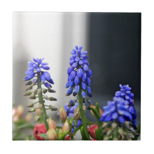 grape hyacinth ceramic tile