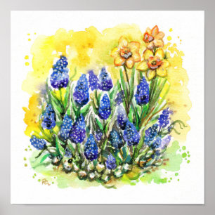 Grape Hyacinth Garden Poster