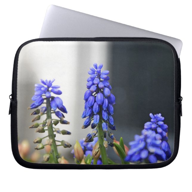 grape hyacinth laptop sleeve (Front)