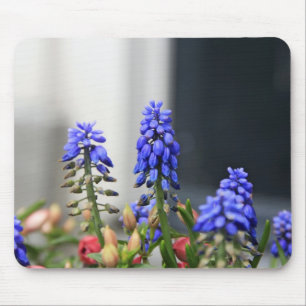 grape hyacinth mouse pad
