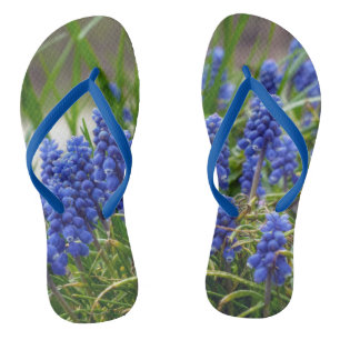 Grape Hyacinth Thongs
