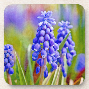 Grape Hyacinths Coaster