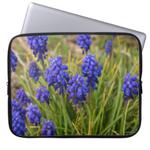 Grape Hyacinths Family Laptop Sleeve