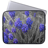 Grape Hyacinths Family Select