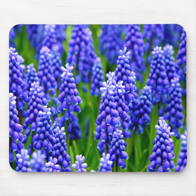 Grape Hyacinths Mouse Pad (Front)