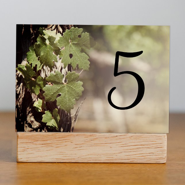 Grape Leaves Vineyard Table Numbers (Creator Uploaded)