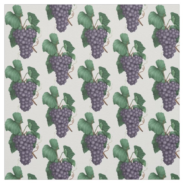 Grape pattern Kitchen pattern cotton twill fabric (Swatch)