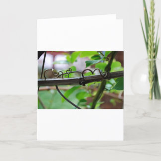 Grape Vine Card