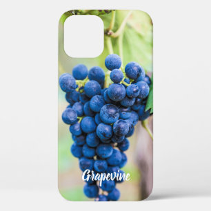 Grape Vine for wine and grapevine winegrower gift iPhone 12 Pro Case
